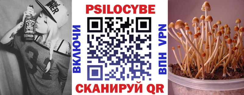 Купить закладки  Венёв  Галлюциногенные грибы мухоморы 